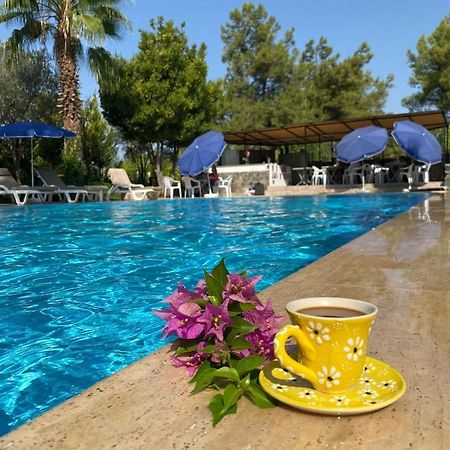 Farmside Otel Φετιγιέ Εξωτερικό φωτογραφία