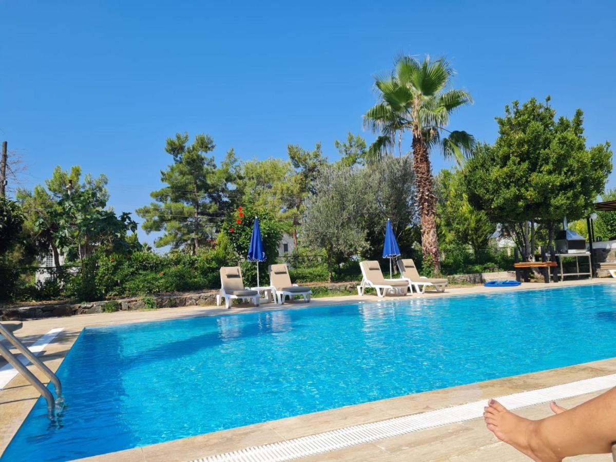 Farmside Otel Φετιγιέ Εξωτερικό φωτογραφία