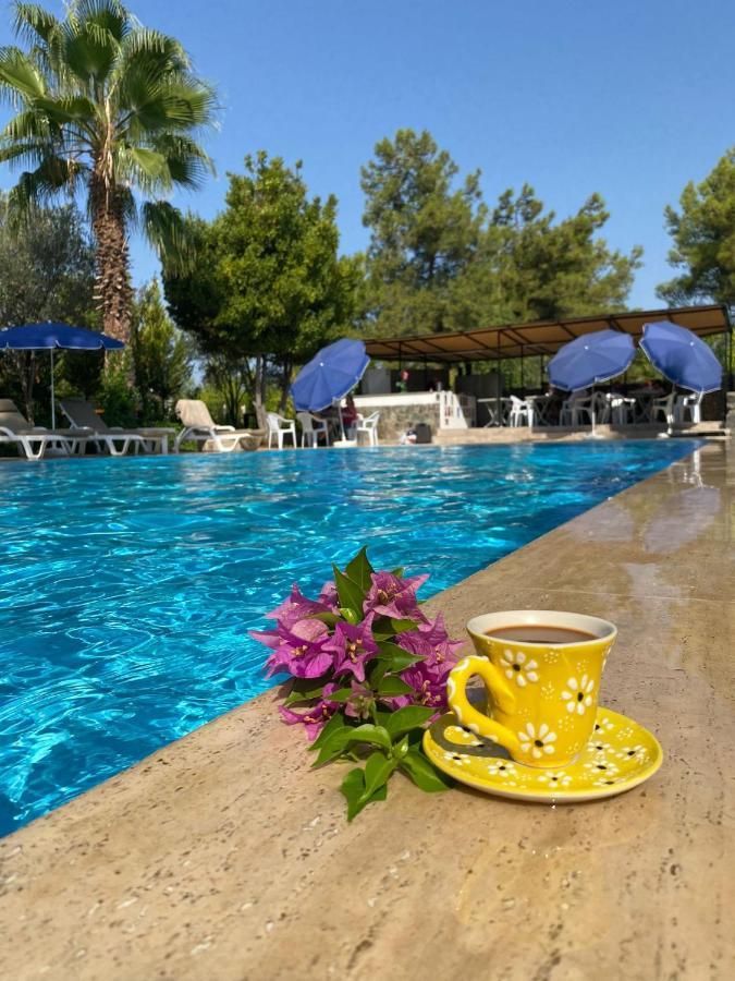 Farmside Otel Φετιγιέ Εξωτερικό φωτογραφία