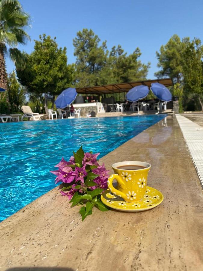 Farmside Otel Φετιγιέ Εξωτερικό φωτογραφία